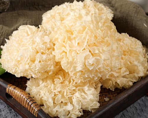 Nấm tuyết khô - Ngon đúng chuẩn hương vị ẩm thực Châu Á