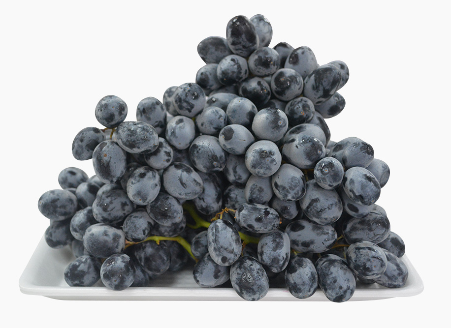 Nho đen Autumn Royal