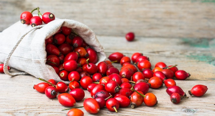 Dầu nụ tầm xuân - Bí quyết dưỡng da từ món quà của thiên nhiên